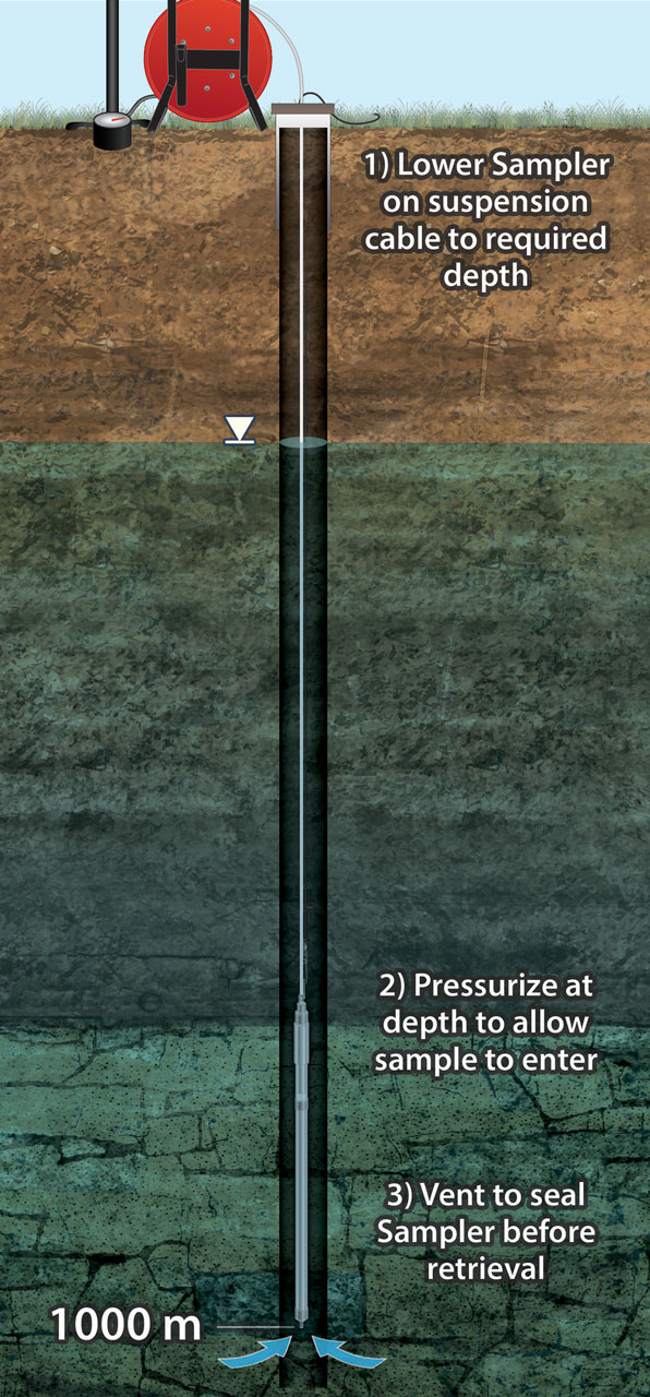 Campionatore ad intervalli discreti 425D